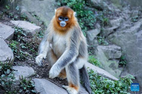 玉合公園怎麼樣 你是否曾夢想過一個能與大自然親密接觸的樂園？